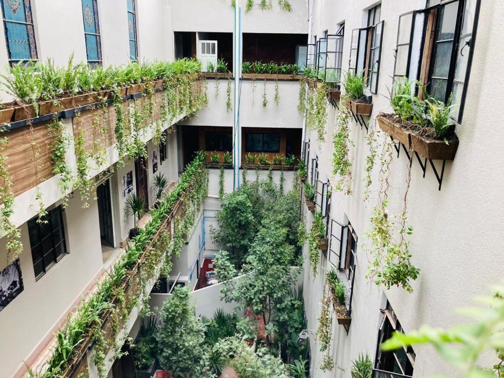 Frontera 49 Roma Norte Hostal メキシコシティ エクステリア 写真