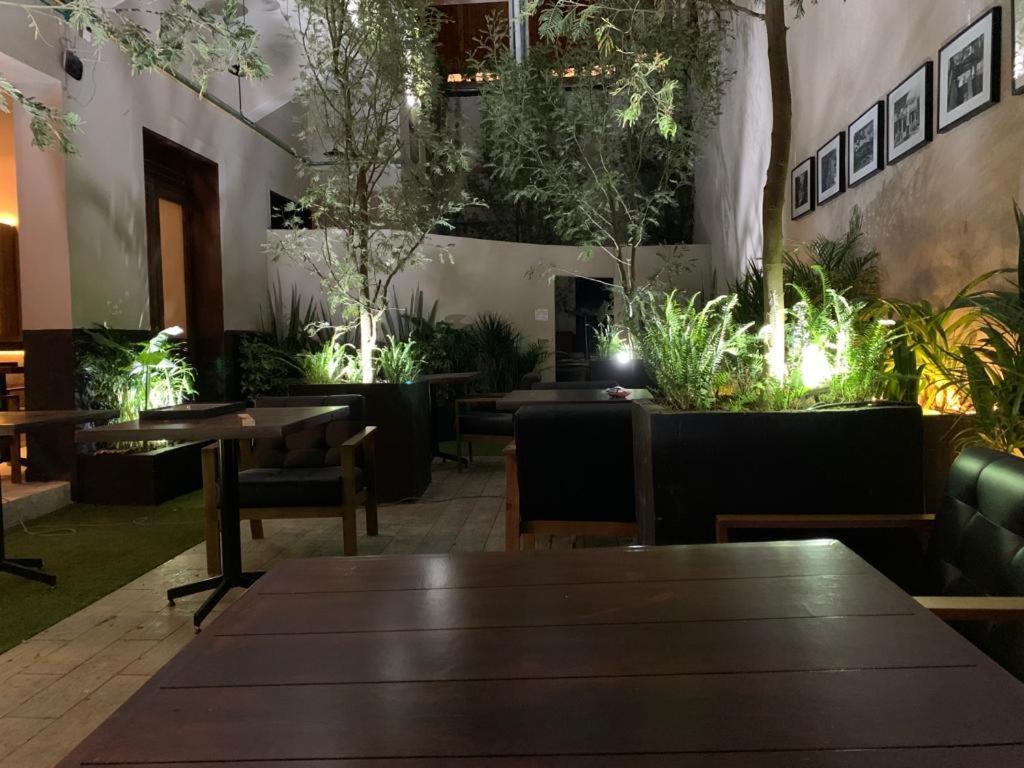Frontera 49 Roma Norte Hostal メキシコシティ エクステリア 写真