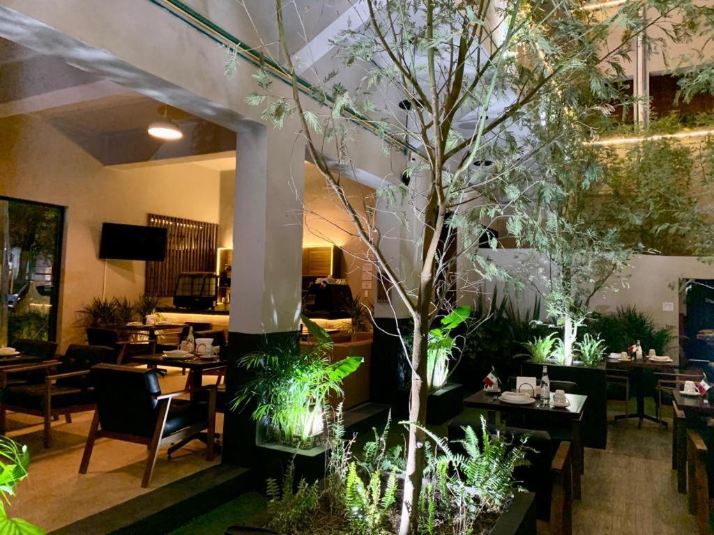 Frontera 49 Roma Norte Hostal メキシコシティ エクステリア 写真