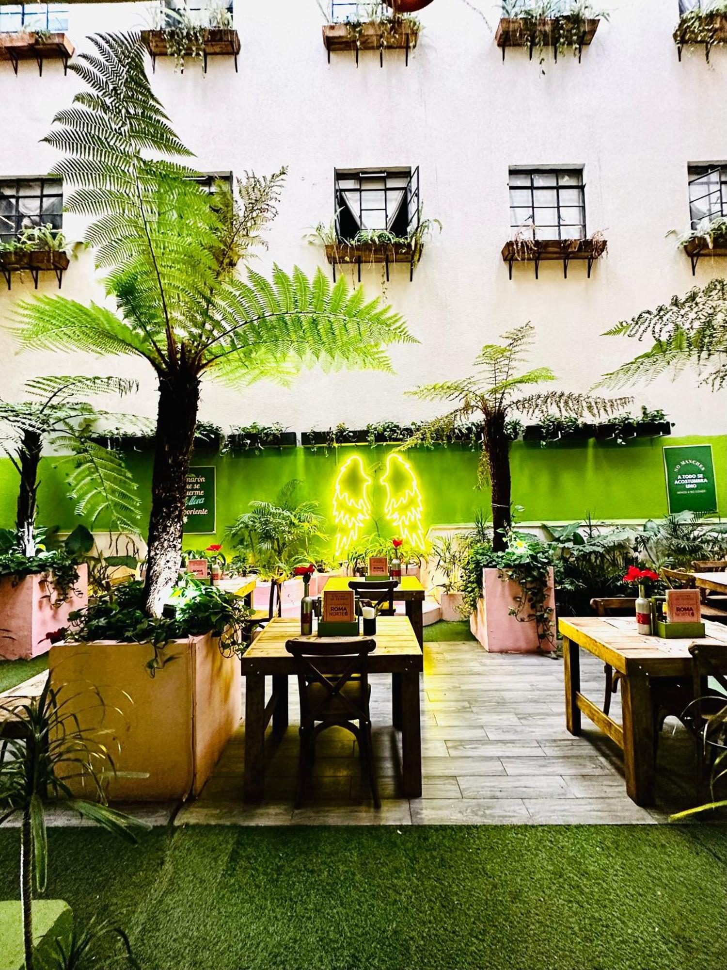 Frontera 49 Roma Norte Hostal メキシコシティ エクステリア 写真