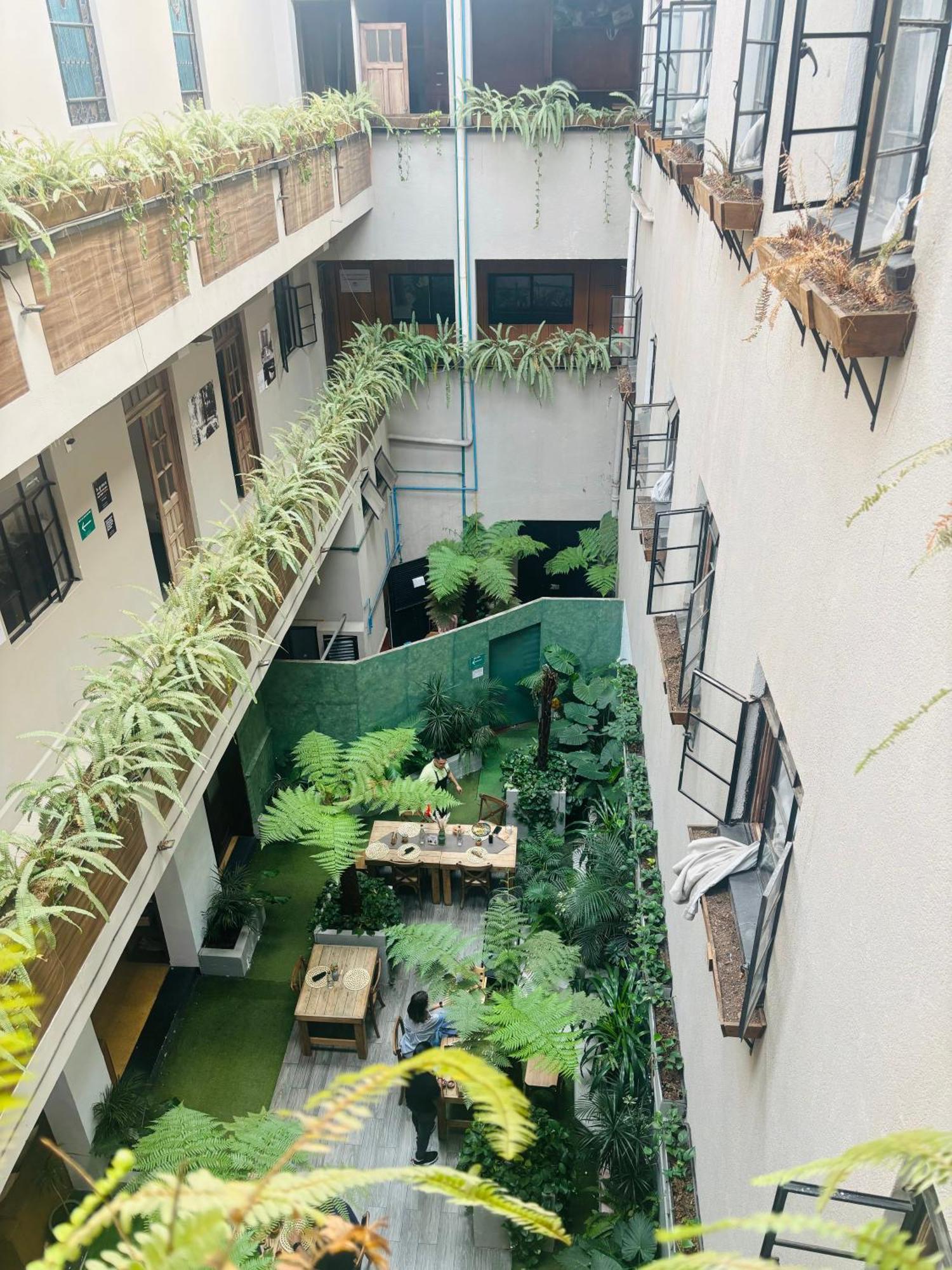Frontera 49 Roma Norte Hostal メキシコシティ エクステリア 写真